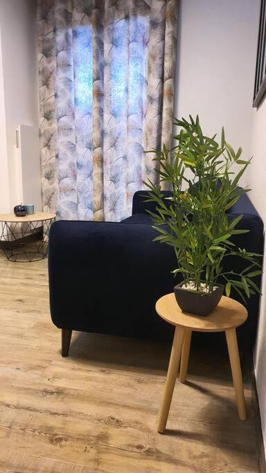 Apartment Duplex T2 Neuf Jardin Lecoq