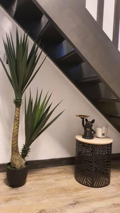 Duplex T2 Neuf Jardin Lecoq *